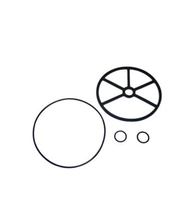 Gaskets for Side Six-Way Valve 2''| Astral Pool