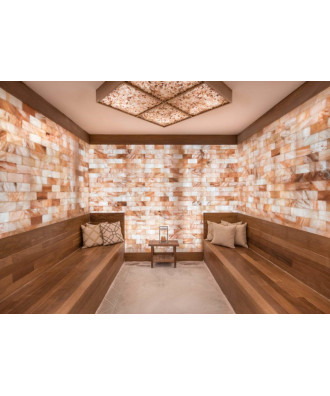 Himalayan Salt Tile for Sauna Construction 20cm х 10cm х 2.5cm | Spa Point