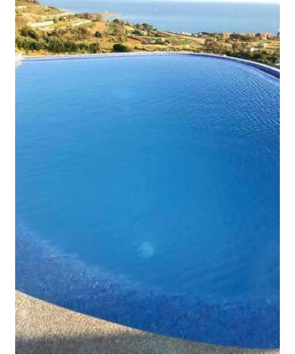 Miraclear Pool Water Clarifier 1l | Lo-Chlor