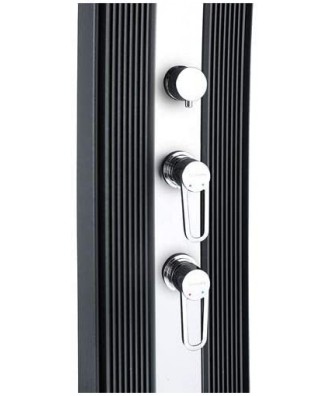 Solar shower for outdoor installation, 40L, Anthracite Inox, model 'DaDa Curve', Formidra