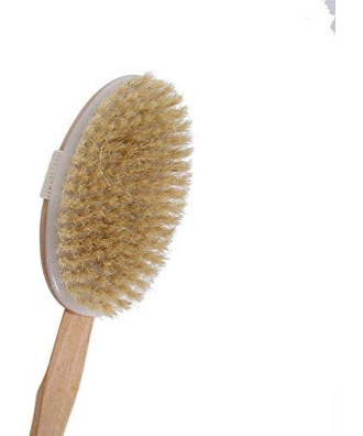Sauna Brush | Spa Point