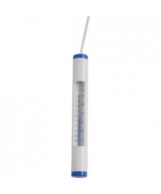 Pool floating thermometer, model "Delux", Point Point
