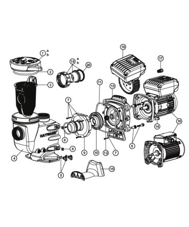 Spare parts for pump Max Flo II | Hayward