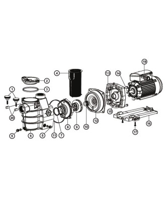 Spare parts for pump Max Flo | Hayward