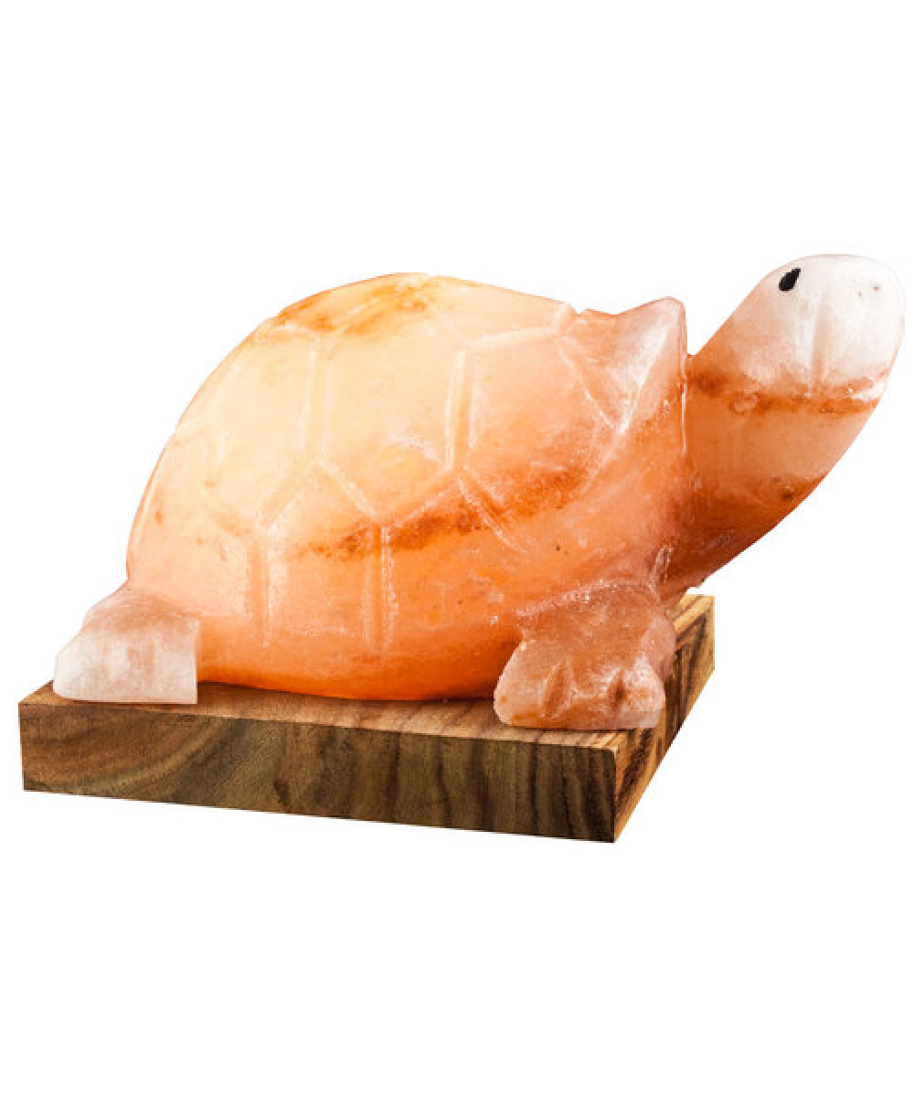 Turtle-shaped Himalayan salt lamp | Spa Point